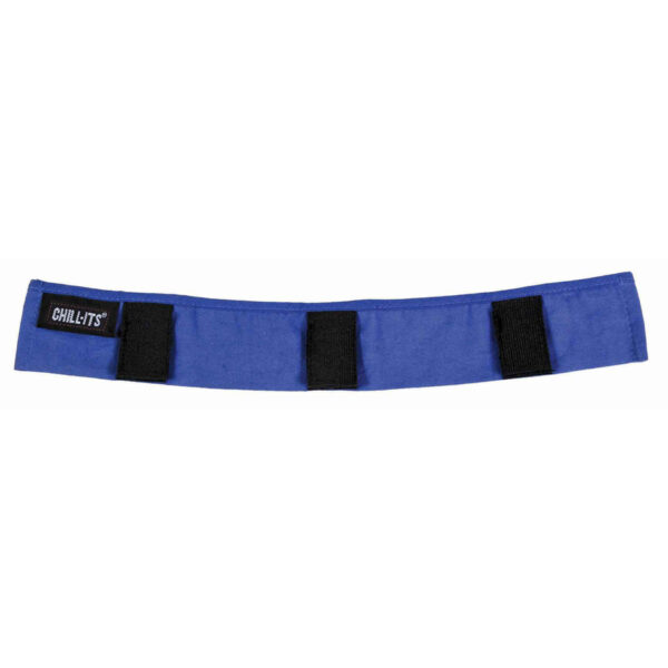 Clothing — Ergodyne 6716 Evaporative Cooling Hard Hat Liner