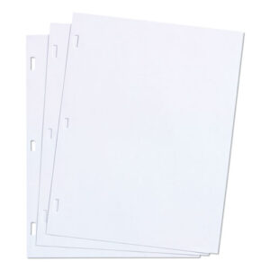 Ledger Sheets for Corporation and Minute Book, 11 x 8.5, White, Loose Sheet, 100/Box