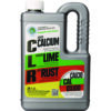 Calcium, Lime and Rust Remover, 28 oz Bottle, 12/Carton