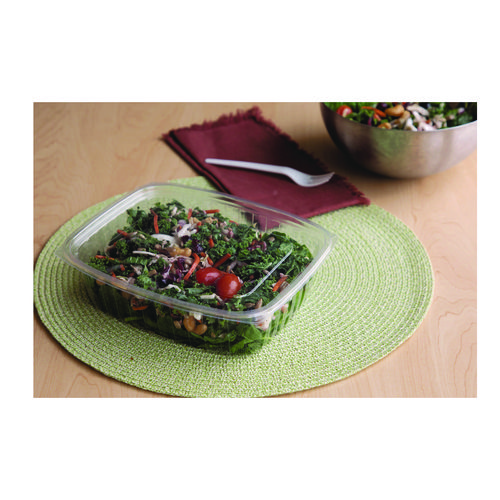 Renewable and Compostable Rectangular Deli Containers, 48 oz, 8 x 6 x 2, Clear, Plastic, 50/Pack, 4 Packs/Carton