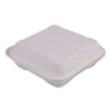 Molded Fiber Hinged Clamshell Containers, 9 x 9 x 3, White, Sugarcane, 50/Pack, 4 Packs/Carton