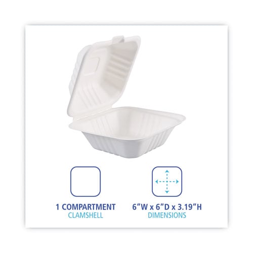 Bagasse Food Containers, Hinged Lid, 6 x 6 x 3.19, White, Sugarcane, 125/Sleeve, 4 Sleeves/Carton