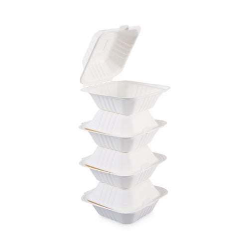Bagasse Food Containers, Hinged Lid, 6 x 6 x 3.19, White, Sugarcane, 125/Sleeve, 4 Sleeves/Carton