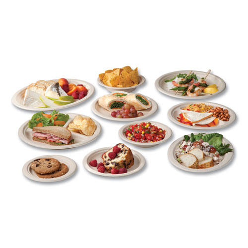 Molded Fiber Tableware, Compostable, Plate, Sugarcane, 10" dia, White, 500/Carton