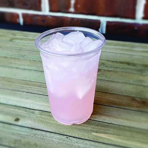 Clear Plastic Cold Cups, 10 oz, 1,000/Carton