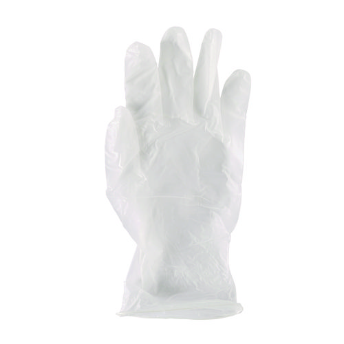 General Purpose Vinyl Gloves, Powder/Latex-Free, 2.6 mil, Large, Clear, 100/Box, 10 Boxes/Carton
