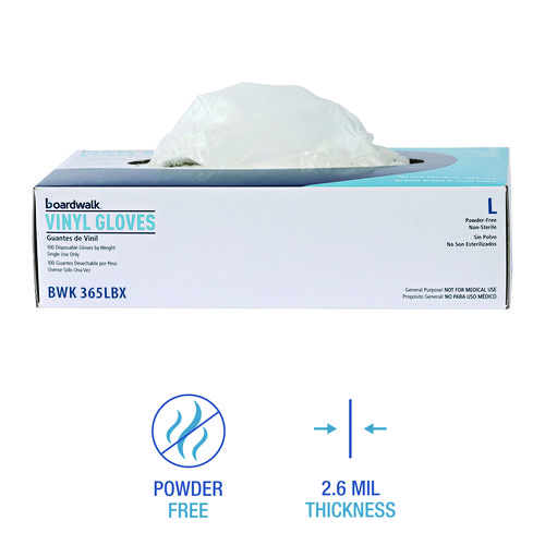 General Purpose Vinyl Gloves, Powder/Latex-Free, 2.6 mil, Large, Clear, 100/Box, 10 Boxes/Carton