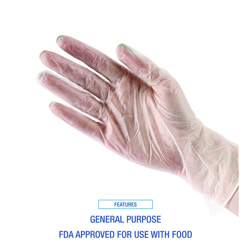General Purpose Vinyl Gloves, Powder/Latex-Free, 2.6 mil, Large, Clear, 100/Box, 10 Boxes/Carton