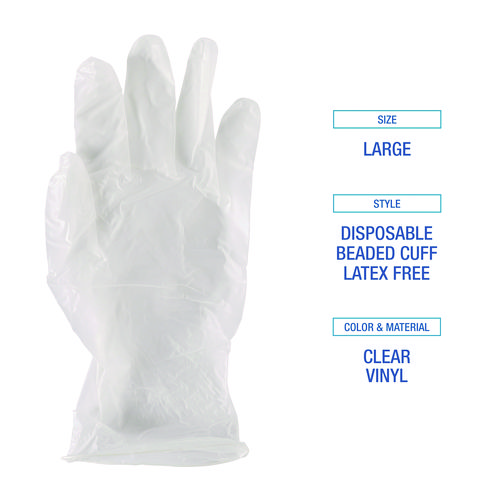General Purpose Vinyl Gloves, Powder/Latex-Free, 2.6 mil, Large, Clear, 100/Box, 10 Boxes/Carton