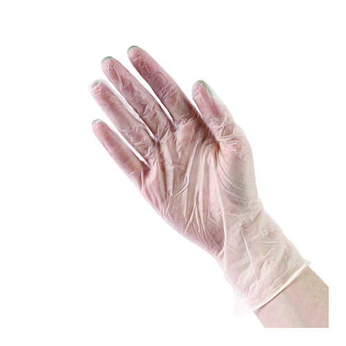 General Purpose Vinyl Gloves, Powder/Latex-Free, 2.6 mil, Large, Clear, 100/Box, 10 Boxes/Carton