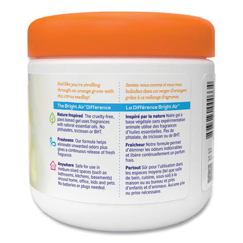 Bright Air Super Odor Eliminator Air Freshener