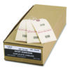 Duplicate Auto Park Tags, 1-500, 4.75 x 2.38, Manila, 500/Box