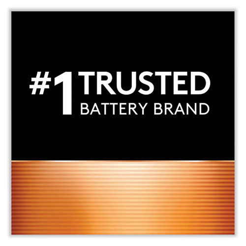 CopperTop Alkaline C Batteries, 2/Pack