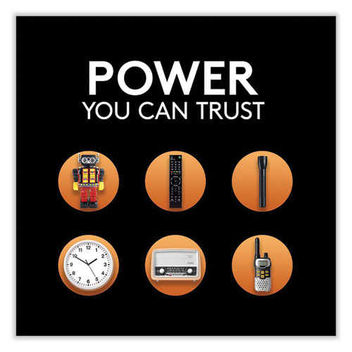 CopperTop Alkaline C Batteries, 2/Pack