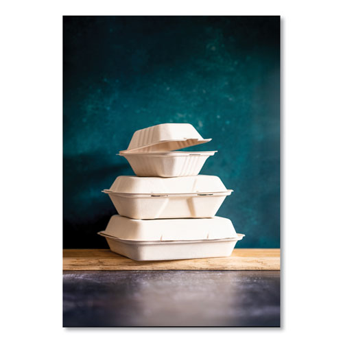 White Molded Fiber Clamshell Containers, Compostable, 9 x 9 x 3, White, Sugarcane, 200/Carton