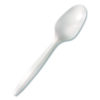 Mediumweight Polypropylene Cutlery, Spoon, Plastic, White, 1,000/Carton