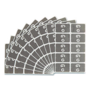 AlphaZ Color-Coded Second Letter Alphabetical Labels, G, 1 x 1.63, Gray, 10/Sheet, 10 Sheets/Pack