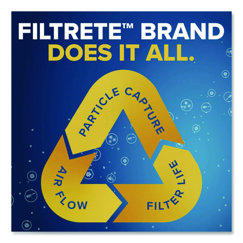 Allergen Defense Air Filter, 12 x 20, 4/Carton