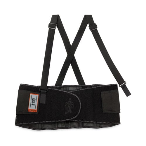 Ergodyne ProFlex 100 Economy Back Support Brace