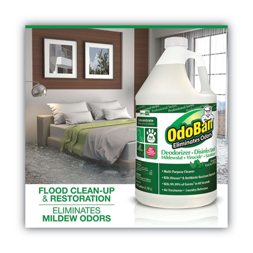 Concentrated Odor Eliminator and Disinfectant, Eucalyptus, 1 gal Bottle - Image 2
