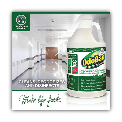 Concentrated Odor Eliminator and Disinfectant, Eucalyptus, 1 gal Bottle - Image 3