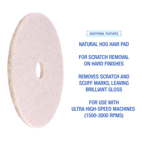 Natural Hog Hair Burnishing Floor Pads, 19" Diameter, Tan, 5/Carton