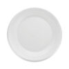 Quiet Classic Laminated Foam Dinnerware, Plate, 9" dia, White, 125/Pack, 4 Packs/Carton