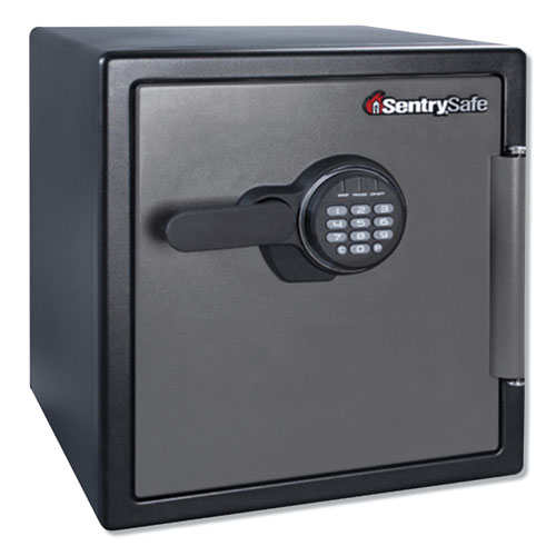 Sentry Safe Digital fire/water safe
