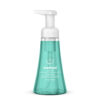 Foaming Hand Wash, Waterfall Scent, 10 oz