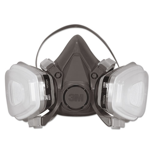 Half Facepiece Paint Spray/Pesticide Respirator, Large