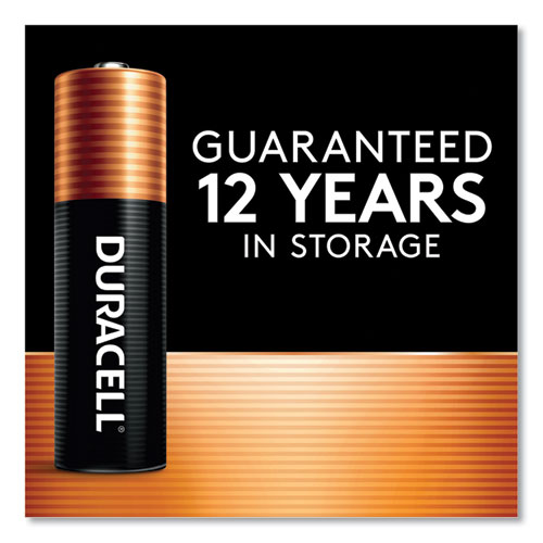 Power Boost CopperTop Alkaline AAA Batteries, 20/Pack