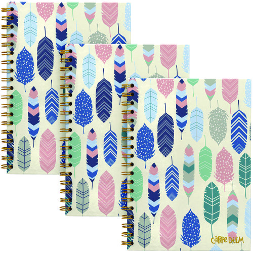 B5 Size Notebook, 1 -Subject, Medium/College Rule, Design Cover, (80) 9.8 x 6.9 Sheets, 3/Pack