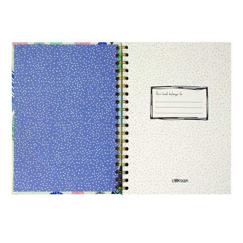 B5 Size Notebook, 1 -Subject, Medium/College Rule, Design Cover, (80) 9.8 x 6.9 Sheets, 3/Pack