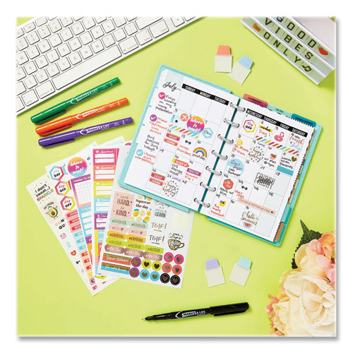 Planner Sticker Variety Pack, Budget, Fitness, Motivational, Seasonal, Work, Assorted Colors, 1,744/Pack