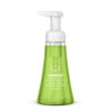 Foaming Hand Wash, Green Tea and Aloe Scent, 10 oz