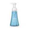 Foaming Hand Wash, Sea Minerals Scent, 10 oz, 6/Carton