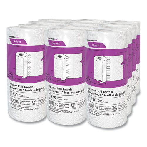 Select Kitchen Roll Towels, 2-Ply, 8 x 11, 250/Roll, 12/Carton - Image 4