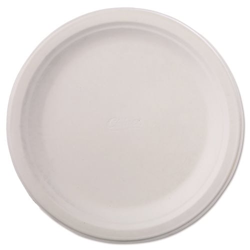 Chinet Classic 9-3/4" Round Plates