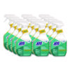 CloroxPro Cleaner Degreaser Disinfectant, 32 oz Spray, 12/Carton