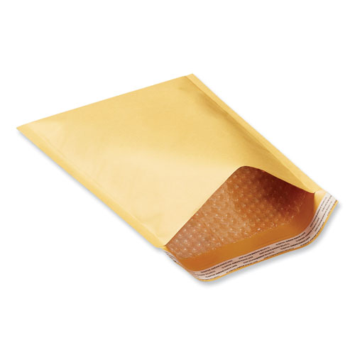 Peel Seal Strip Cushioned Mailer, #00, Extension Flap, Self-Adhesive Closure, 5 x 10, 25/Carton