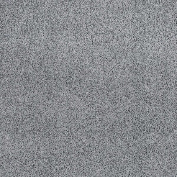 2' X 4' Polyester Grey Area Rug