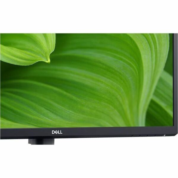 Dell E2423HN 24" Class Full HD LCD Monitor - 16:9
