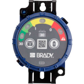 Brady® 150741 Brady Inspection Timer, 30 Day, 10 Pack, LED Lights, ABS Plastic, Blue
