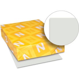 Neenah Paper Exact Index Card Stock 49591 110 lbs 8-1/2"" x 11"" Gray 250/Pack