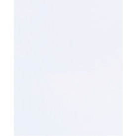 Global Industrial Flat Polypropylene Bags 10""W x 12""L 1.5 Mil Clear Pack of 1000