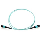 Axiom MPO Female to MPO Female Multimode OM4 50/125 Fiber Optic Cable - 30m