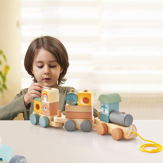Toys & Hobbies