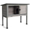 Small Elevated Rabbit Hutch with Hinged Asphalt Roof and Removable Tray