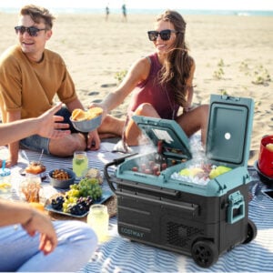 40 Quart Car Refrigerator with 12/24V DC and 110-240V AC Dual Zone-Black & Green