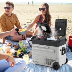 40 Quart Car Refrigerator with 12/24V DC and 110-240V AC Dual Zone-Black & Gray